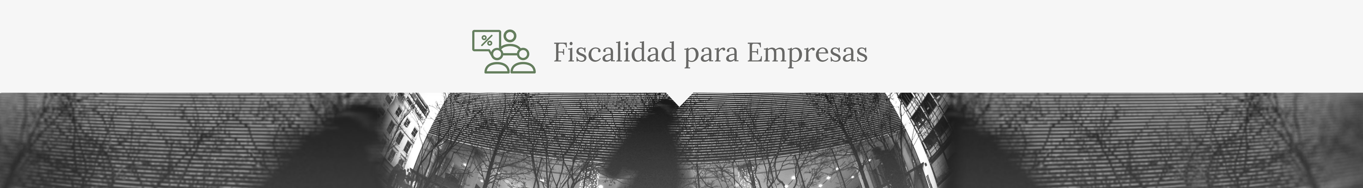 FISCALIDAD PARA EMPRESAS opt